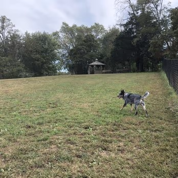 Vettiner Dog Run photo 1